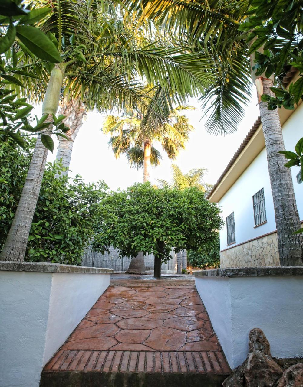 Casa Rural Tipica Andaluza, Wifi,Piscina, Barbacoa, Aire Acondicionado, 5Min Centros Alhaurín el Grande Dış mekan fotoğraf