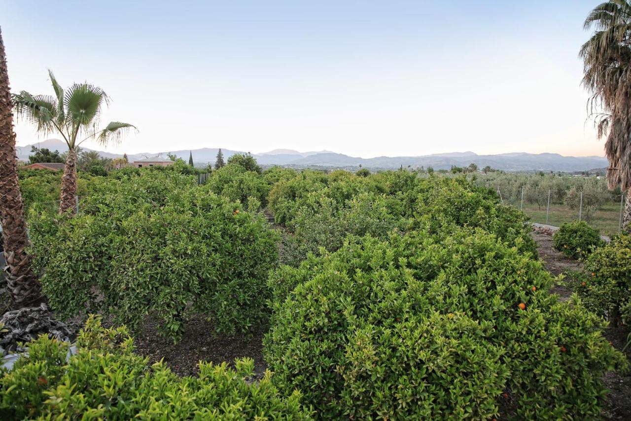 Casa Rural Tipica Andaluza, Wifi,Piscina, Barbacoa, Aire Acondicionado, 5Min Centros Alhaurín el Grande Dış mekan fotoğraf